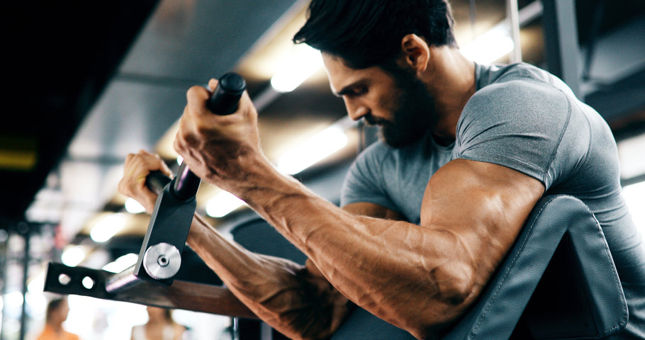 Muscle War Business Partners